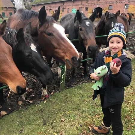 아파트 Black Horse Pasłęk