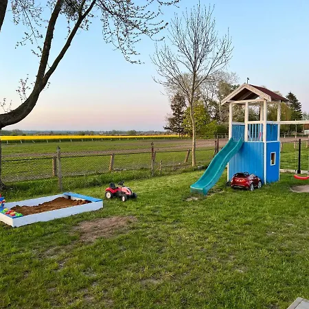 Apartament Black Horse *