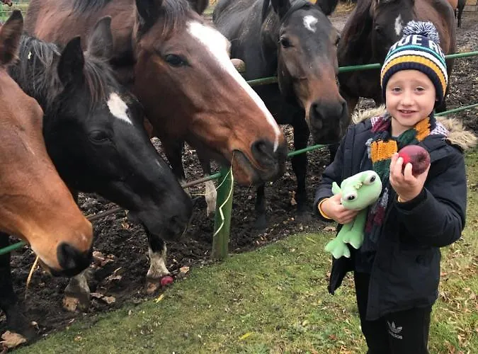 Apartment Black Horse Paslek