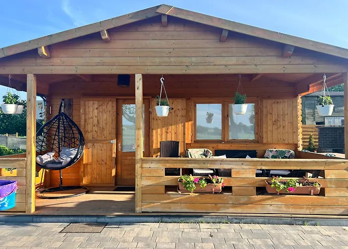 Black Horse * Paslek